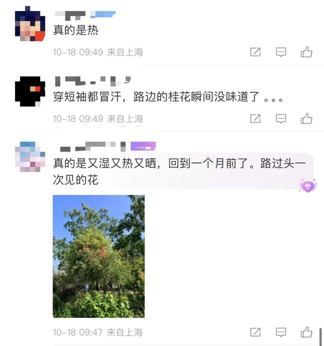 破纪录！断崖式下跌来了！上海人做好准备，这波真的猛…