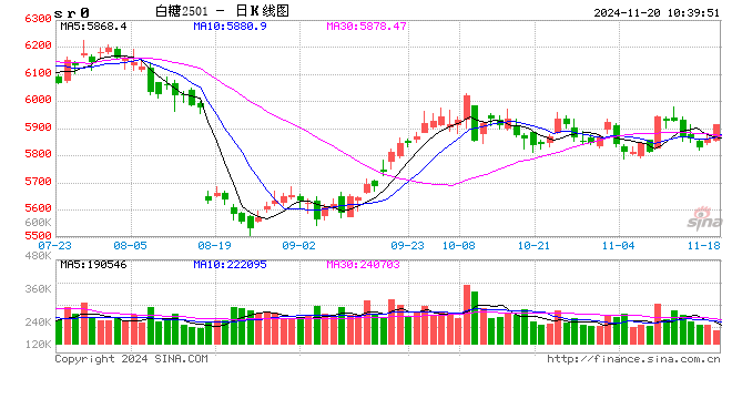 光大期货：11月20日软商品日报